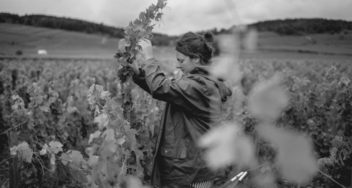 Marthe Henry