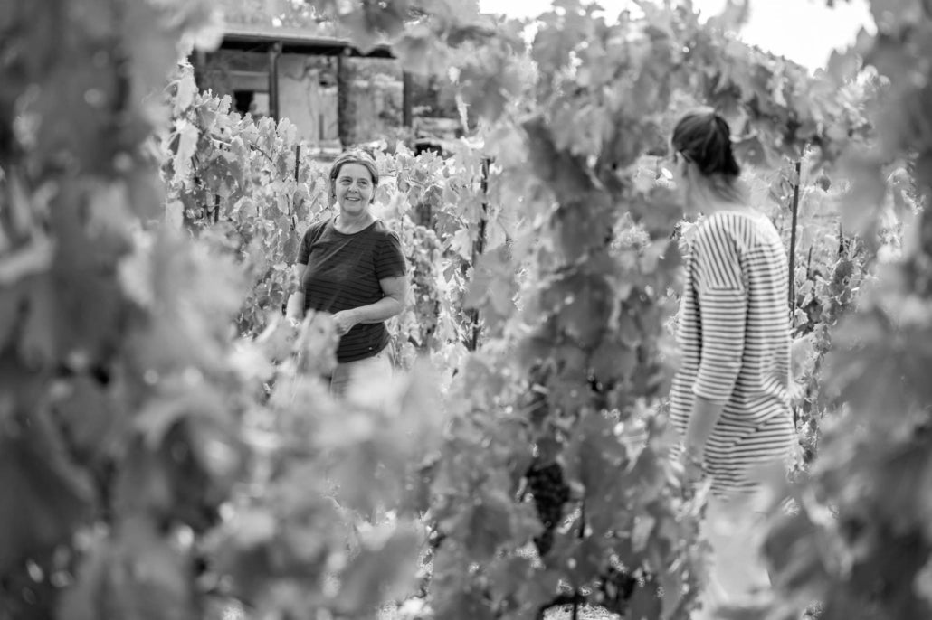 Podere Le Boncie
