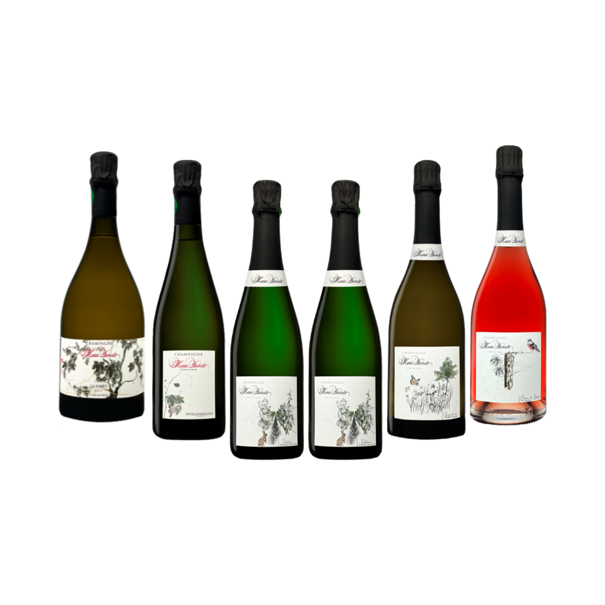 Marie Demets Assortment Case – OC 6 Bottles